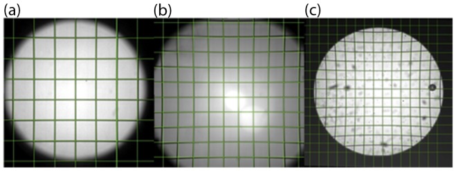 Fig. 6