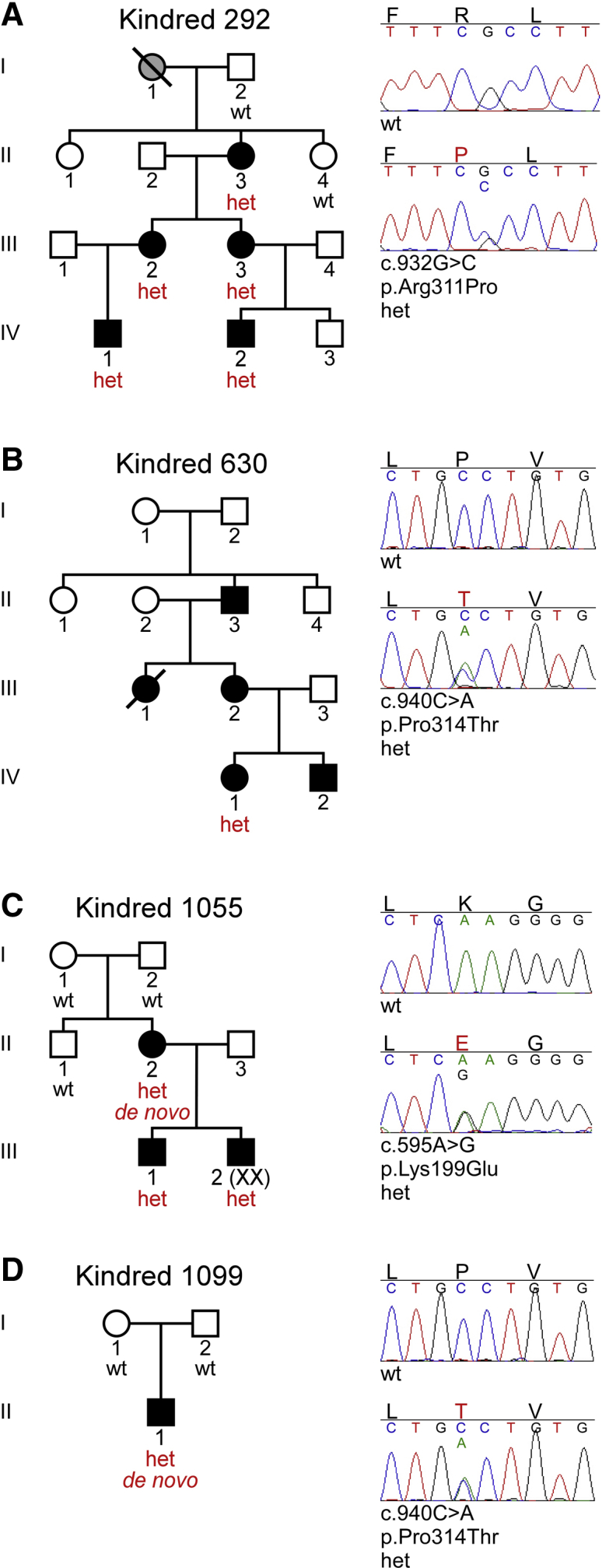 Figure 1