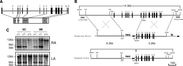 FIG. 1.