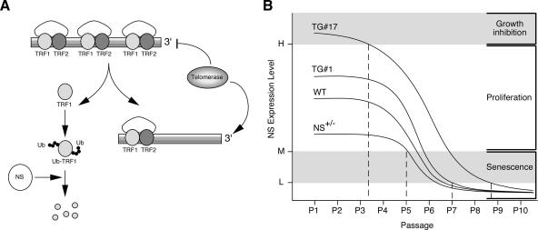 FIG. 10.