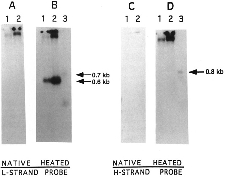 FIG. 9