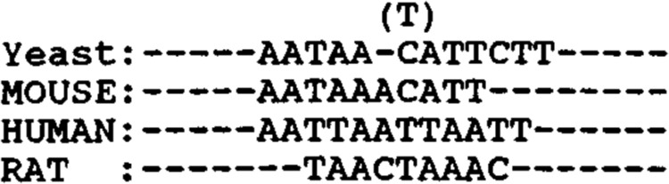 FIG. 11