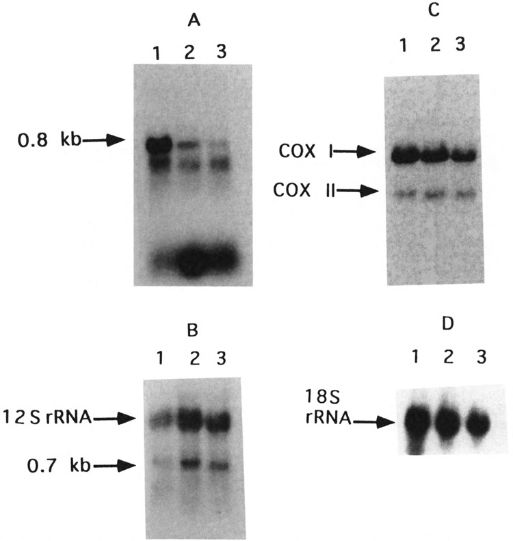 FIG. 10