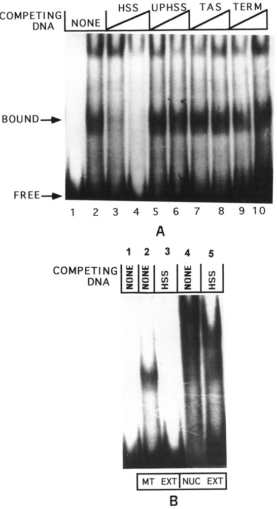 FIG. 8