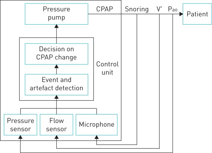 FIGURE 1