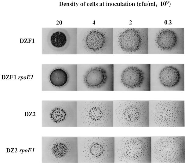 FIG. 6