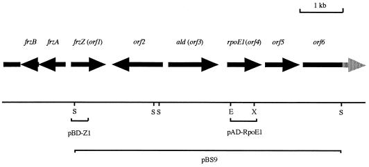 FIG. 1