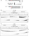 FIG 4