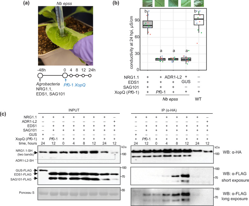 Fig. 4