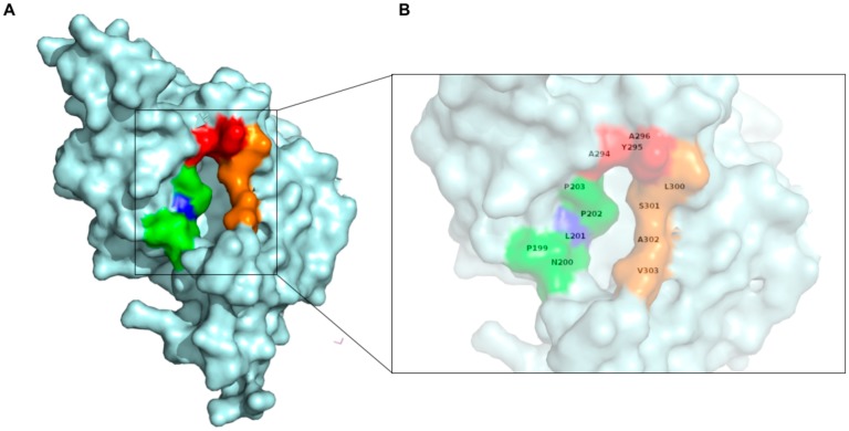 Figure 9