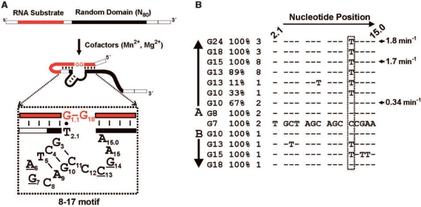 Figure 6.