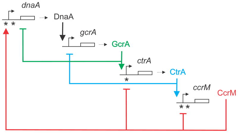 FIGURE 13