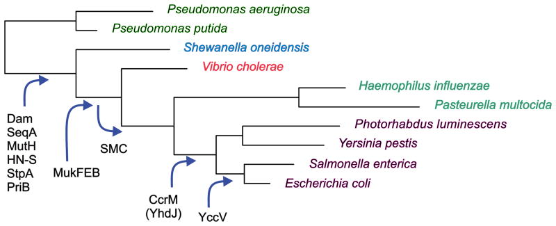 FIGURE 3