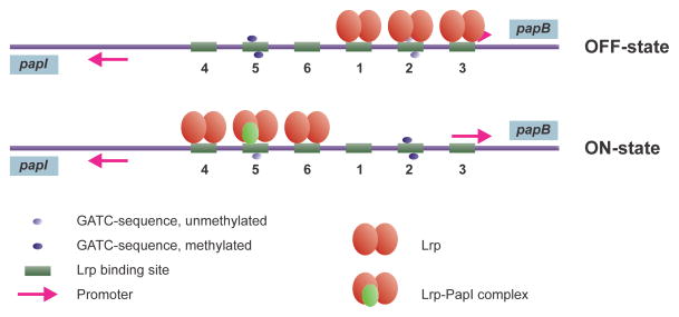 FIGURE 10