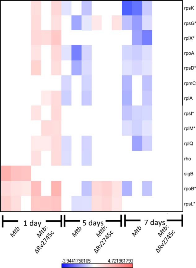 FIGURE 10.