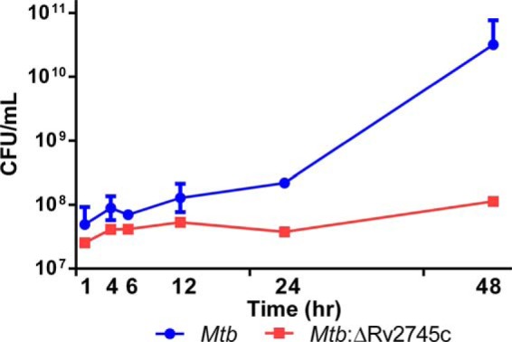 FIGURE 2.