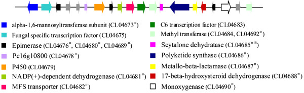 Figure 6