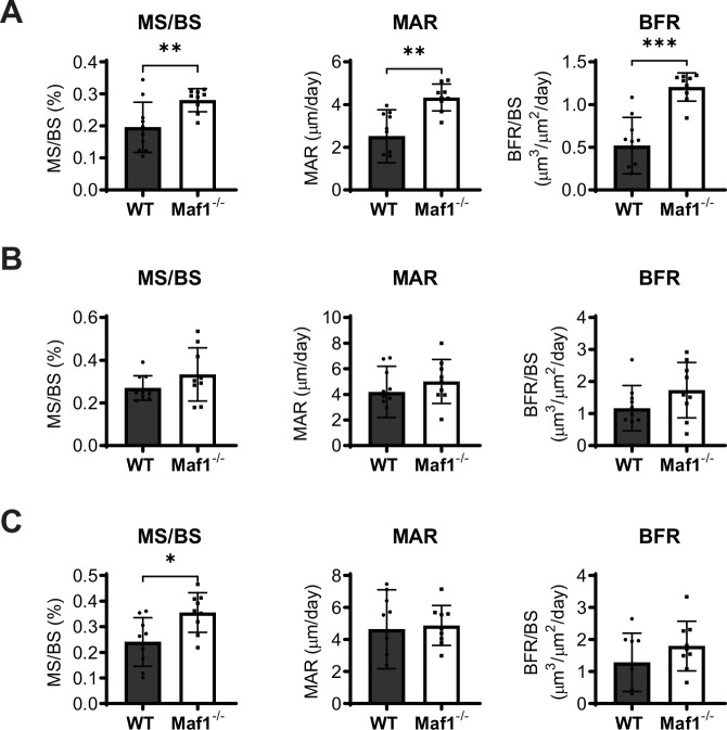 Figure 1—figure supplement 2.