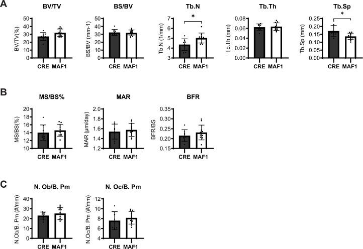 Figure 1—figure supplement 4.