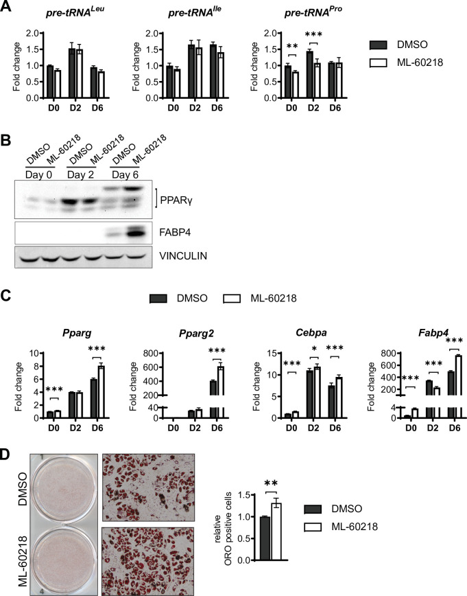 Figure 4—figure supplement 2.