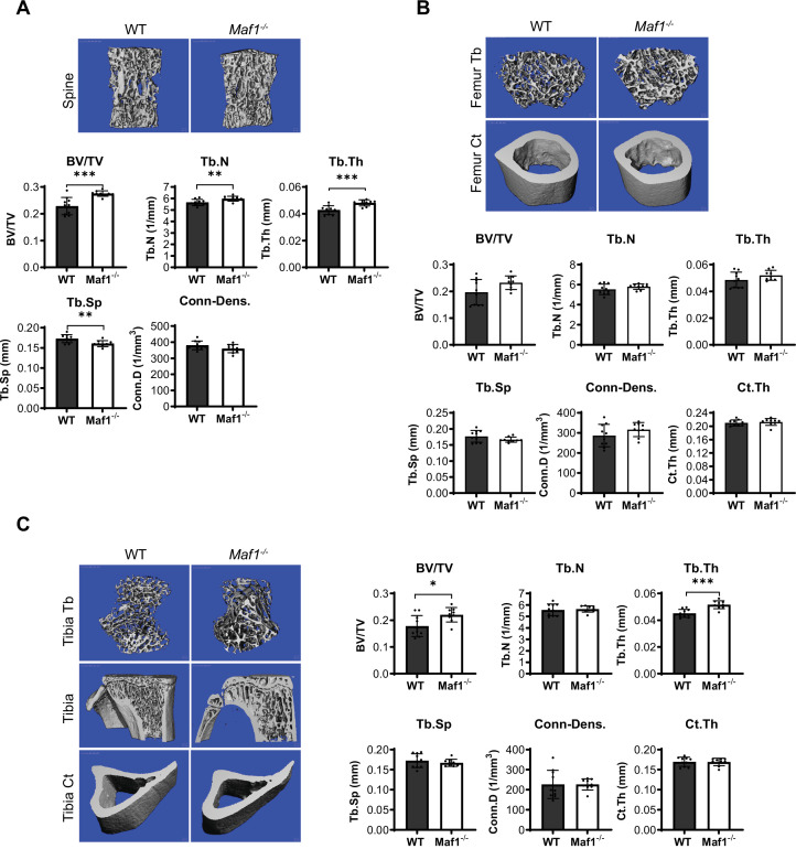 Figure 1—figure supplement 1.