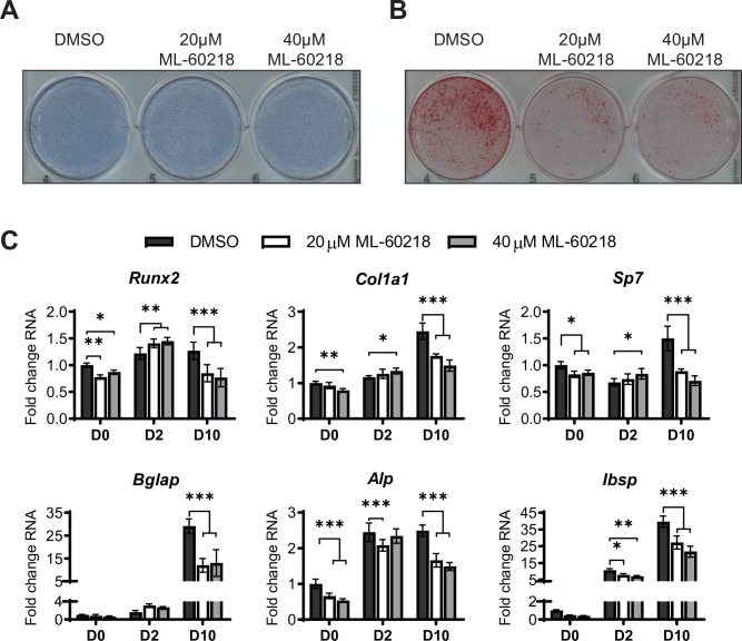 Figure 4—figure supplement 1.