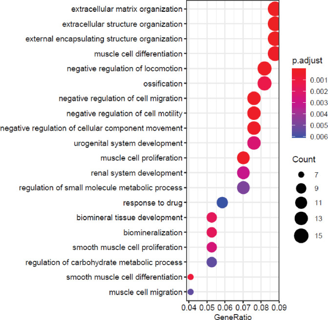 Figure 6—figure supplement 1.