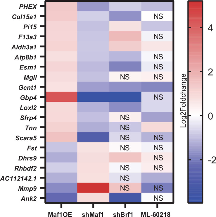 Figure 6—figure supplement 5.