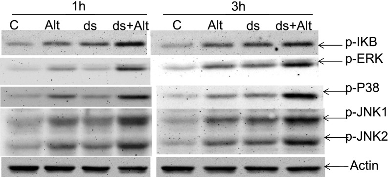 Figure 5.