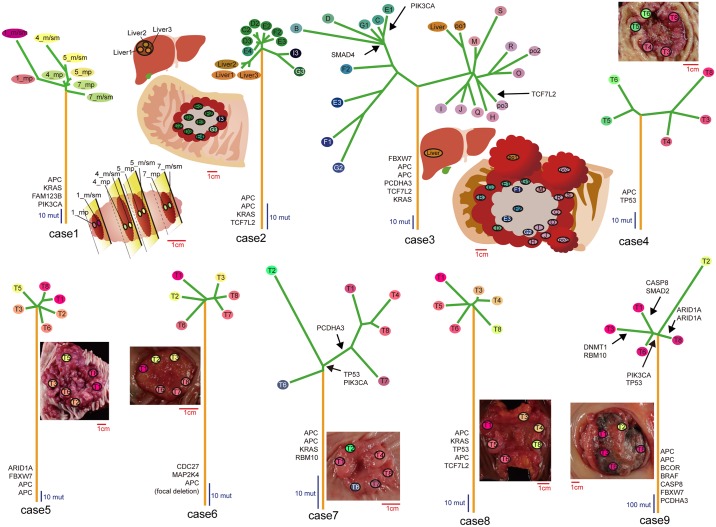 Fig 2