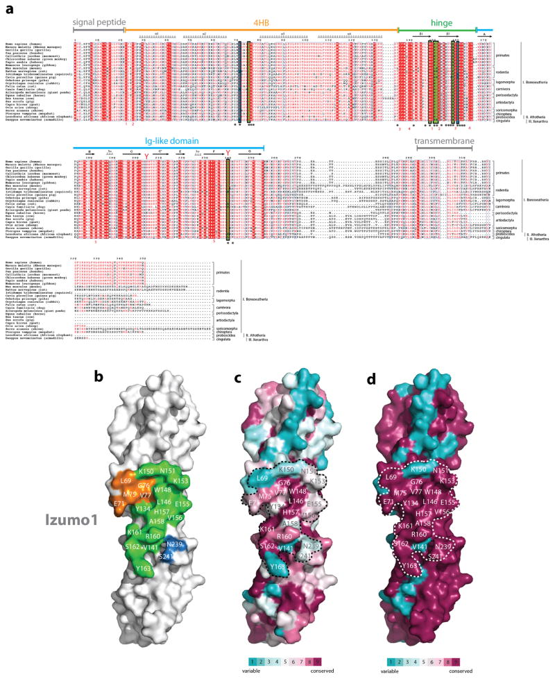 Extended Data Figure 1