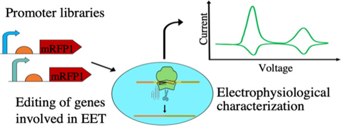 graphic file with name sb2c00130_0007.jpg