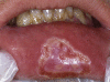 Fig. 7