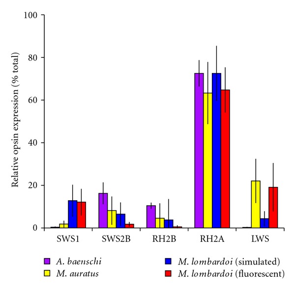 Figure 5