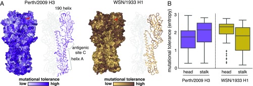 Fig. 3.