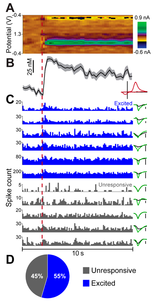 Figure 5.