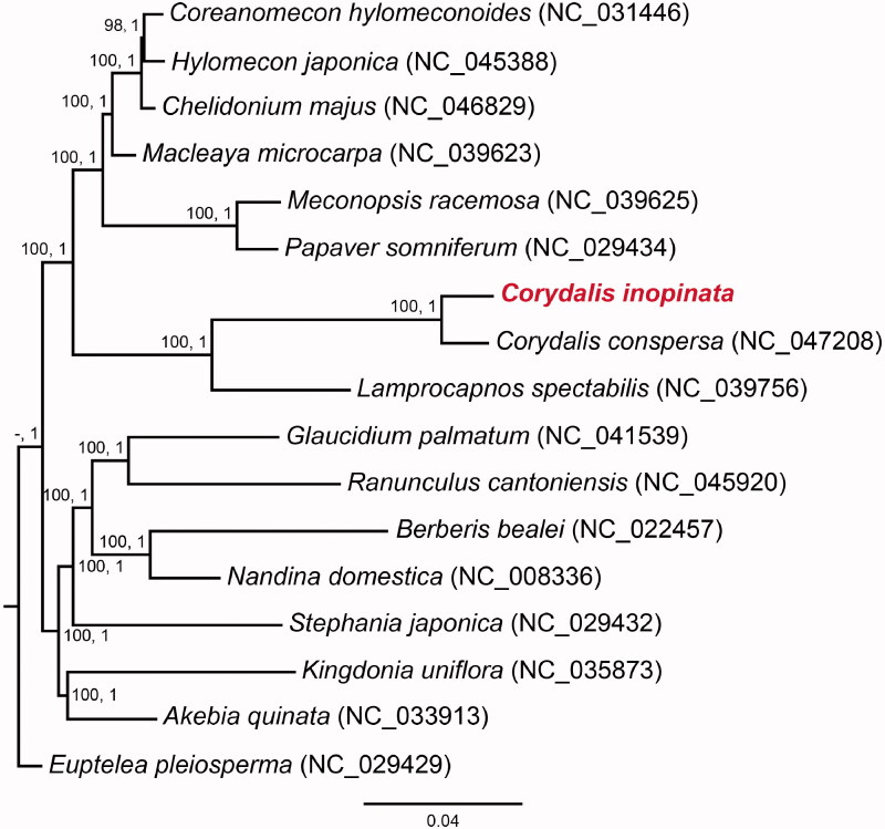 Figure 1.