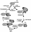 FIG. 1.