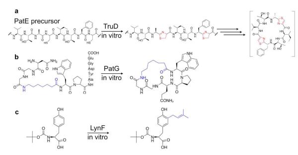 Figure 7