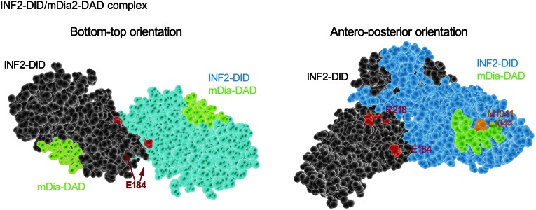 Figure 7.