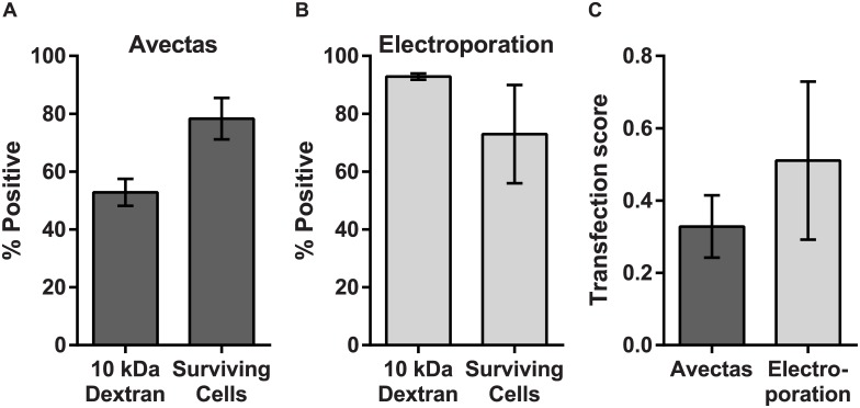 Fig 3