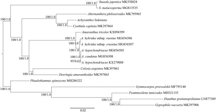 Figure 1.