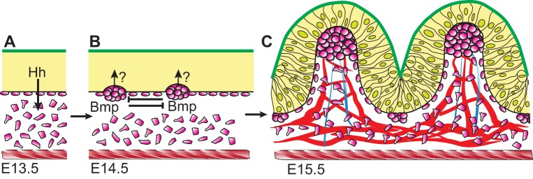 Fig. 3.