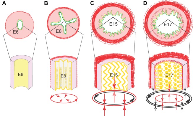 Fig. 4.