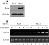 FIG. 7.