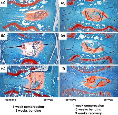 Fig. 6