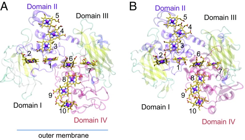 Fig. 1.