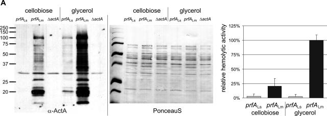 FIG. 10.