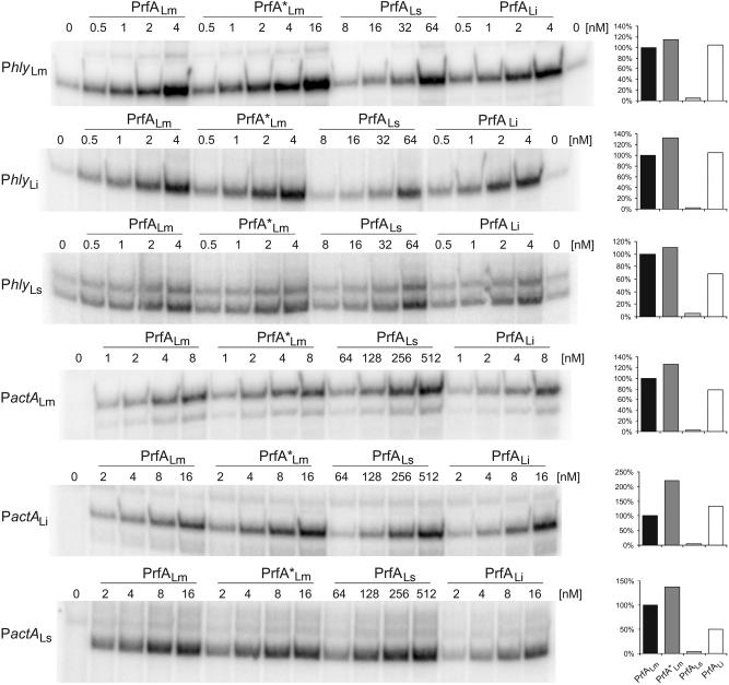 FIG. 8.