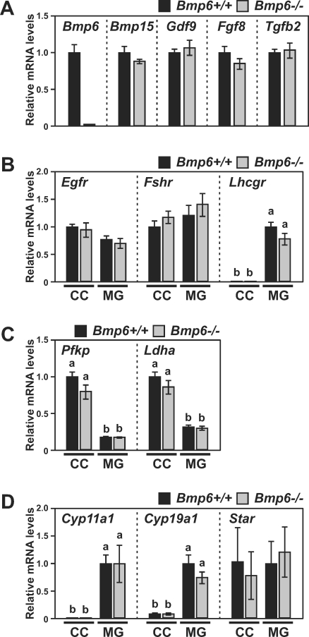 FIG. 5.